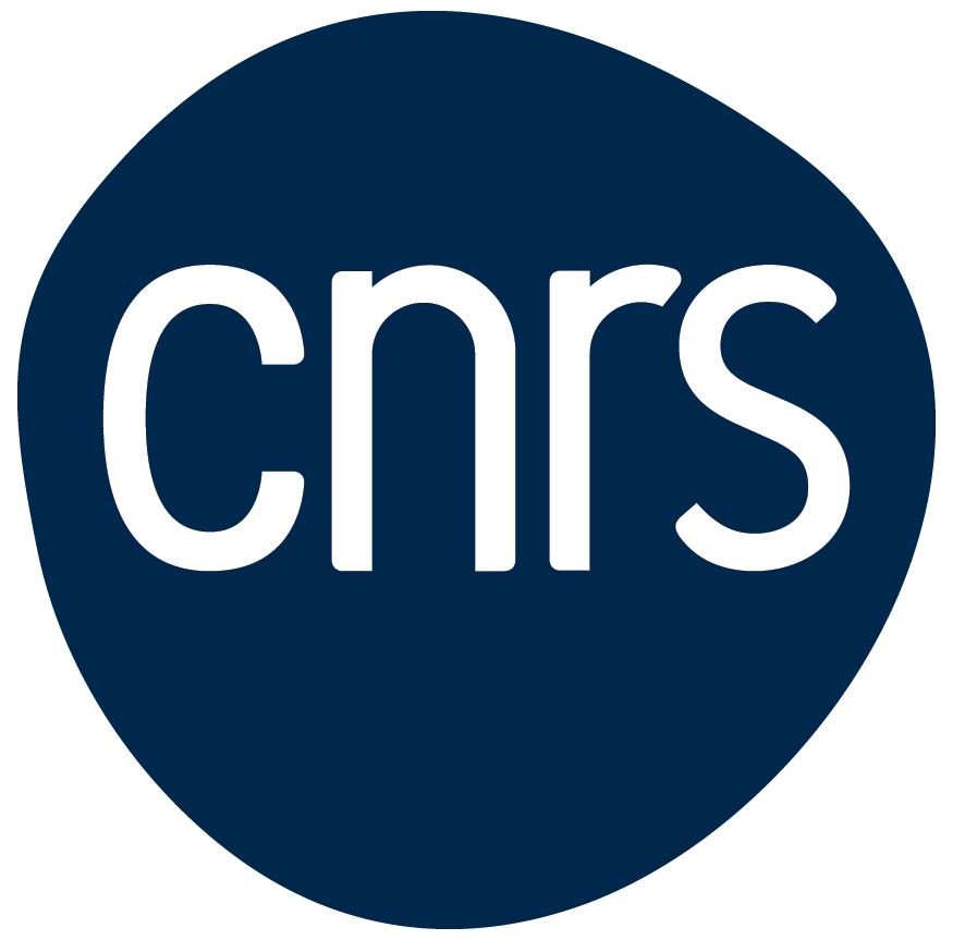 CNRS logo (opens in a new window)